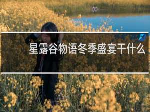 星露谷物语冬季盛宴干什么