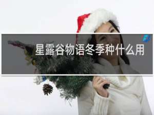 星露谷物语冬季种什么用