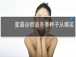 星露谷物语冬季种子从哪买