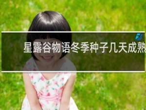 星露谷物语冬季种子几天成熟