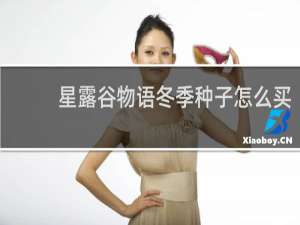 星露谷物语冬季种子怎么买