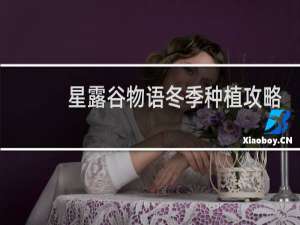 星露谷物语冬季种植攻略