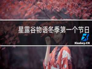 星露谷物语冬季第一个节日