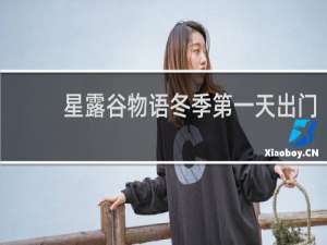 星露谷物语冬季第一天出门