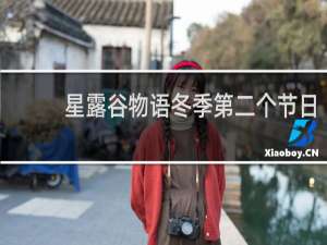 星露谷物语冬季第二个节日