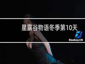星露谷物语冬季第10天