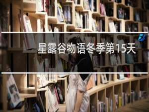 星露谷物语冬季第15天