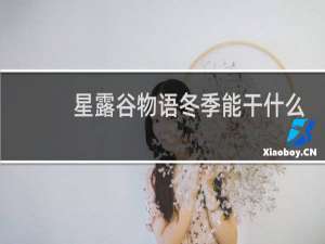 星露谷物语冬季能干什么