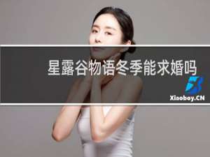 星露谷物语冬季能求婚吗