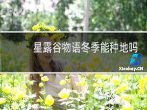 星露谷物语冬季能种地吗