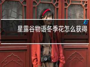 星露谷物语冬季花怎么获得