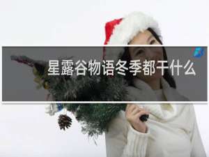 星露谷物语冬季都干什么