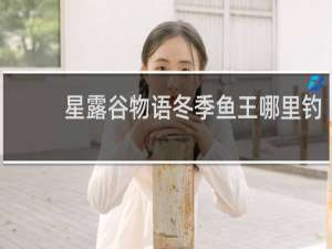 星露谷物语冬季鱼王哪里钓