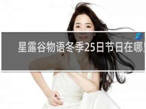 星露谷物语冬季25日节日在哪里