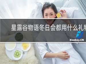 星露谷物语冬日会都用什么礼物