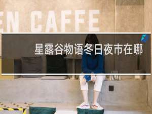 星露谷物语冬日夜市在哪