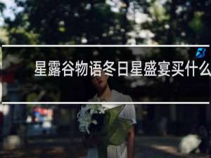 星露谷物语冬日星盛宴买什么
