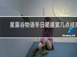 星露谷物语冬日星盛宴几点结束