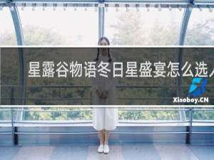 星露谷物语冬日星盛宴怎么选人