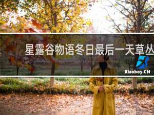 星露谷物语冬日最后一天草丛