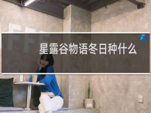 星露谷物语冬日种什么