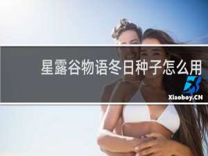 星露谷物语冬日种子怎么用