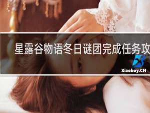 星露谷物语冬日谜团完成任务攻略