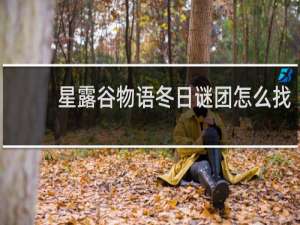 星露谷物语冬日谜团怎么找
