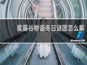 星露谷物语冬日谜团怎么解