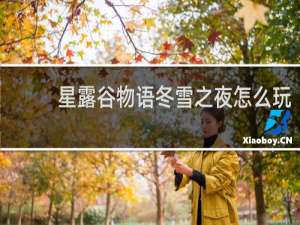 星露谷物语冬雪之夜怎么玩