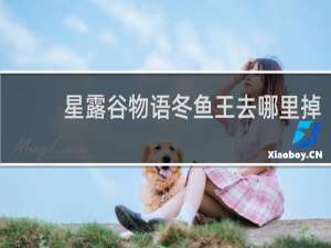 星露谷物语冬鱼王去哪里掉