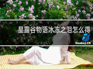 星露谷物语冰冻之泪怎么得