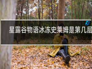 星露谷物语冰冻史莱姆是第几层的