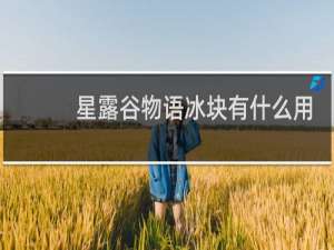 星露谷物语冰块有什么用