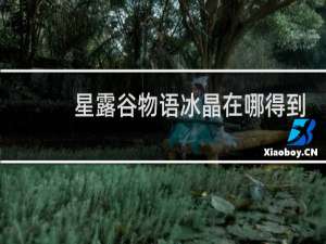 星露谷物语冰晶在哪得到