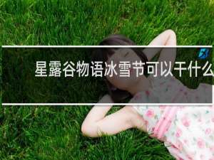 星露谷物语冰雪节可以干什么