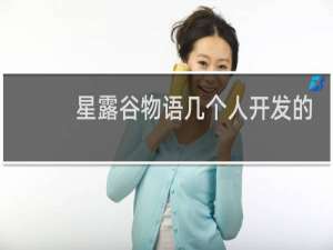 星露谷物语几个人开发的