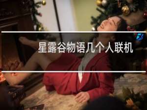 星露谷物语几个人联机