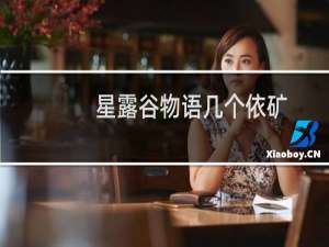 星露谷物语几个依矿