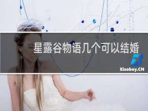 星露谷物语几个可以结婚