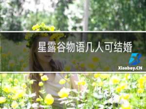 星露谷物语几人可结婚
