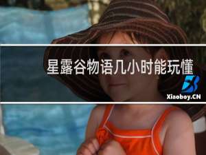 星露谷物语几小时能玩懂