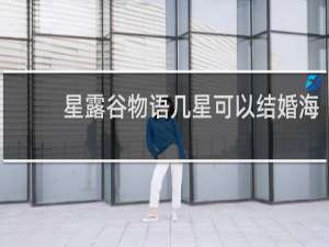 星露谷物语几星可以结婚海