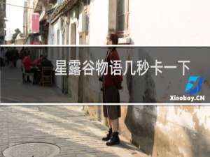 星露谷物语几秒卡一下