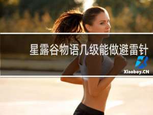 星露谷物语几级能做避雷针