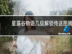 星露谷物语几级解锁传送图腾