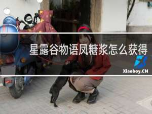 星露谷物语凤糖浆怎么获得