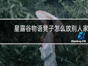 星露谷物语凳子怎么放别人家