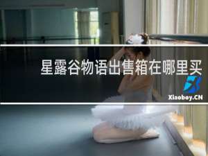 星露谷物语出售箱在哪里买