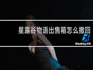 星露谷物语出售箱怎么撤回